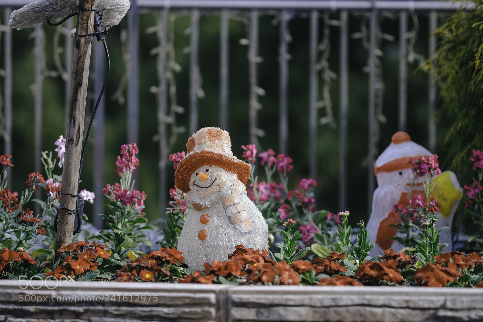 Fujifilm X-T2 sample photo. Dsf photography