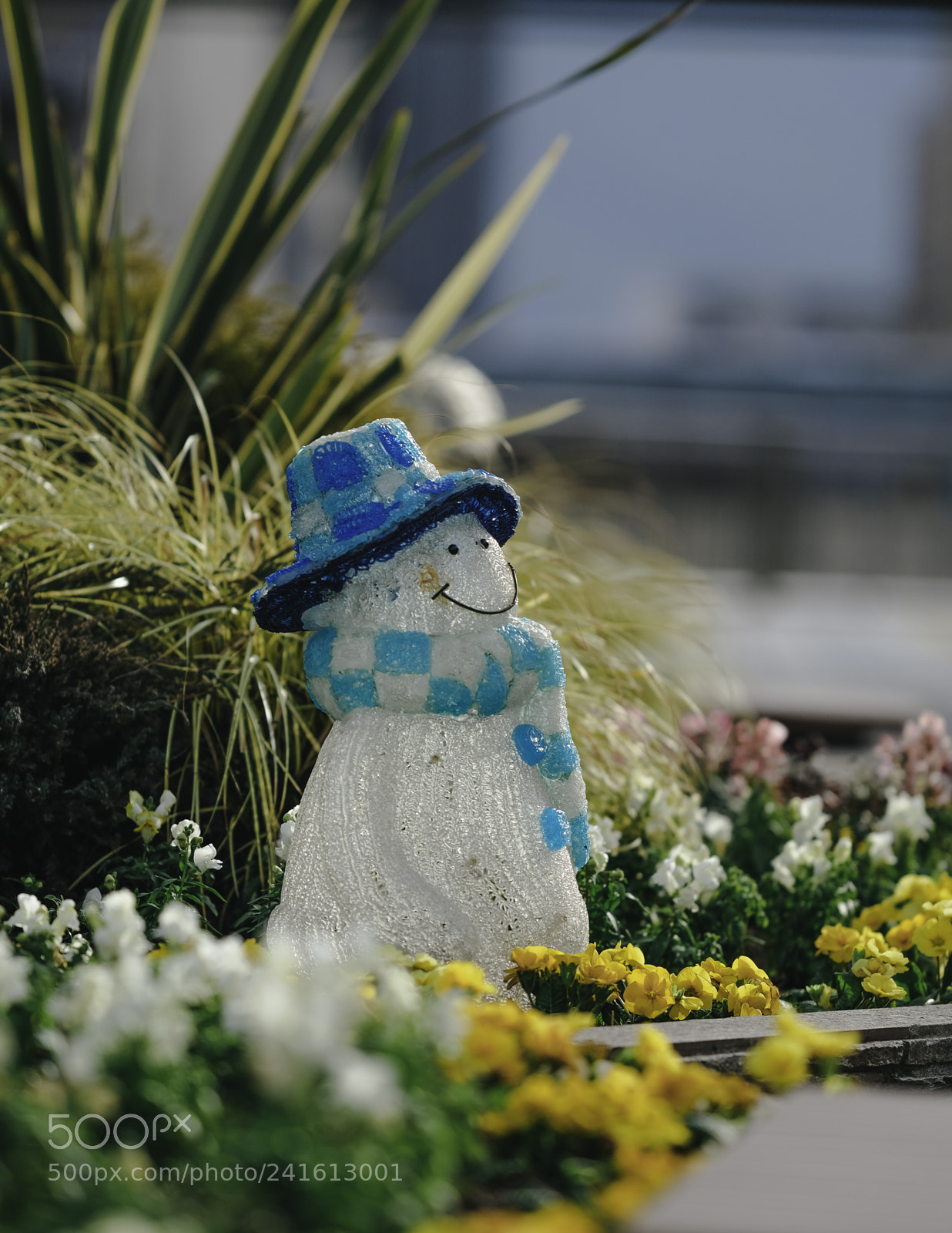 Fujifilm X-T2 sample photo. Dsf photography
