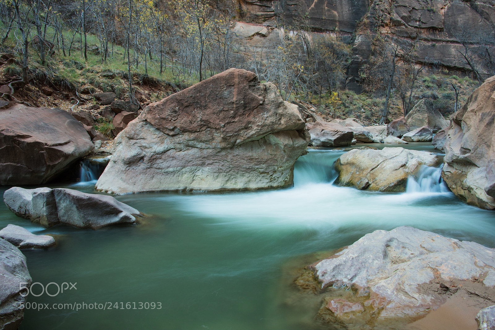 Nikon D810 sample photo. The tranquil photography