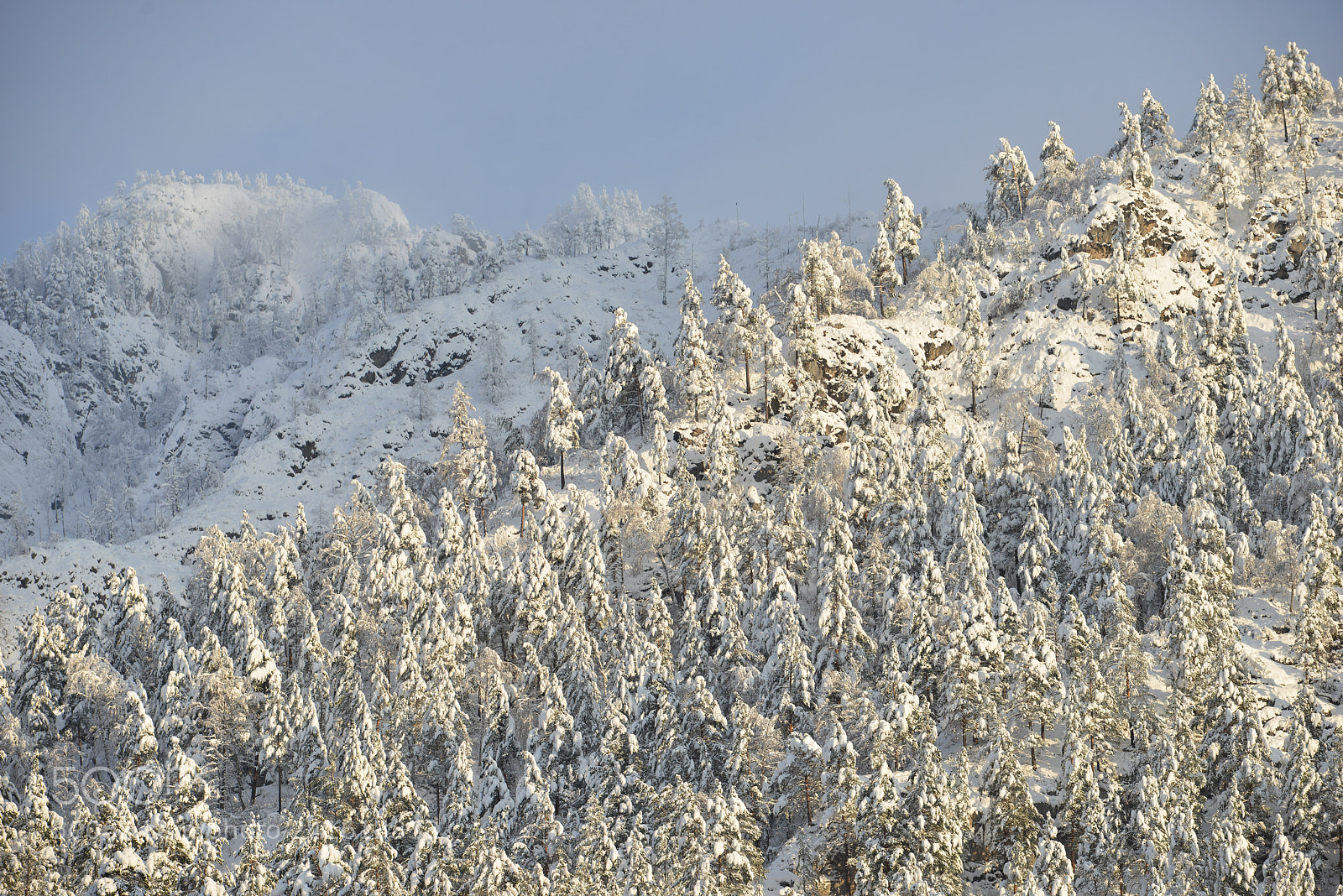 Nikon D800E sample photo. Altai mountains photography