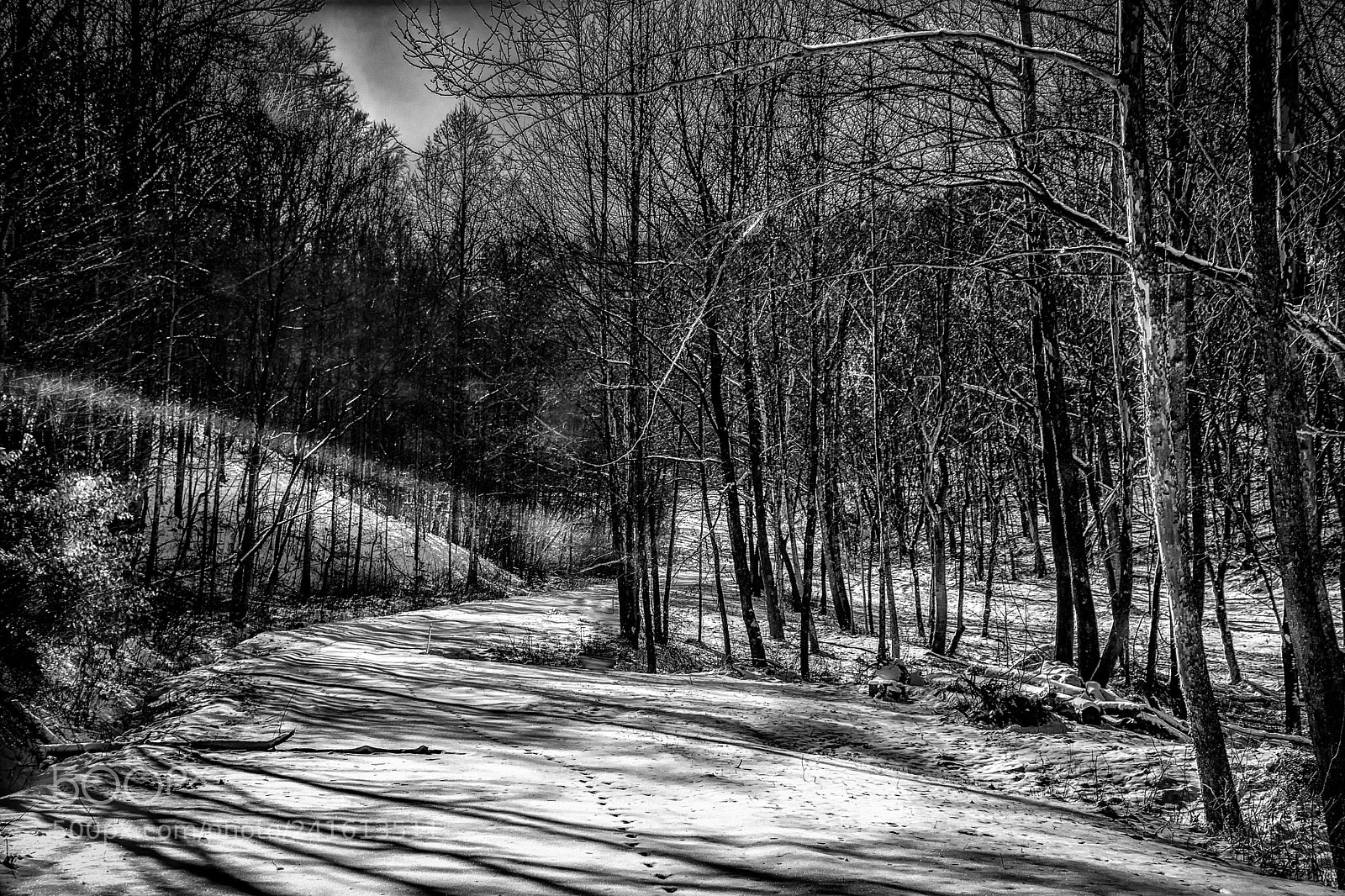 Nikon D7100 sample photo. Winter's highlights and shadows photography