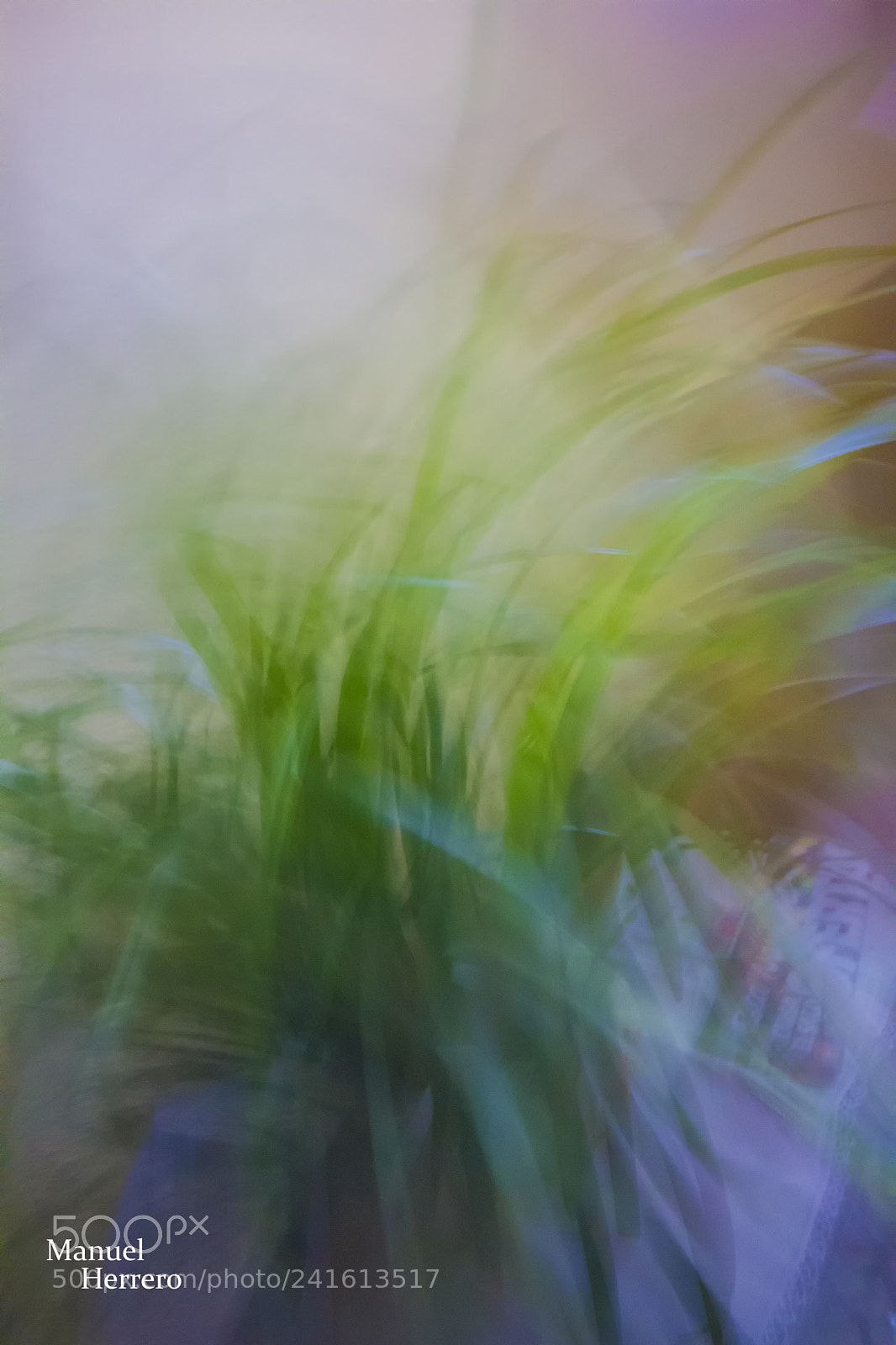 Canon EOS 550D (EOS Rebel T2i / EOS Kiss X4) sample photo. Abstract photography