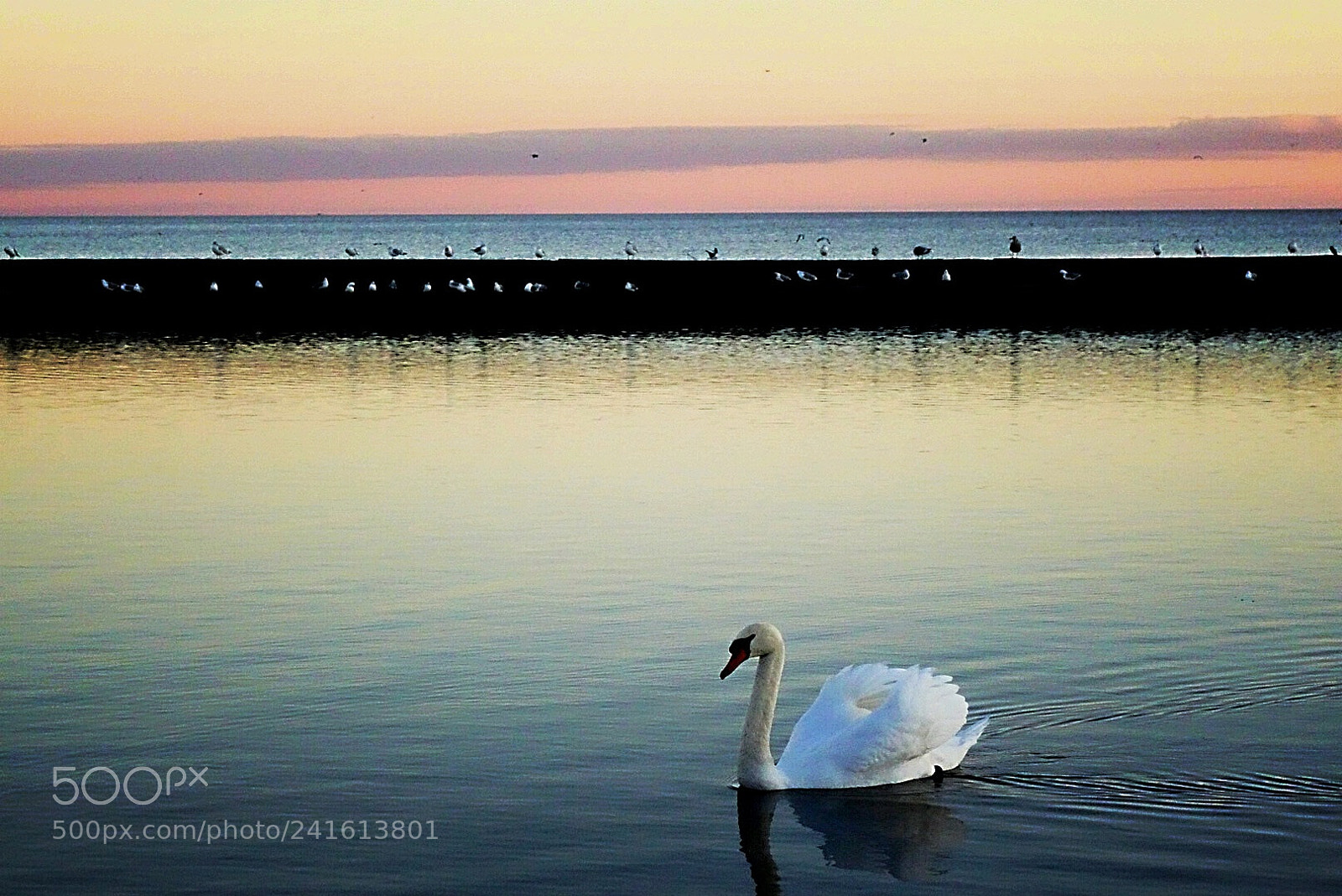 Sony Cyber-shot DSC-RX100 II sample photo. Humber bay park, toronto photography