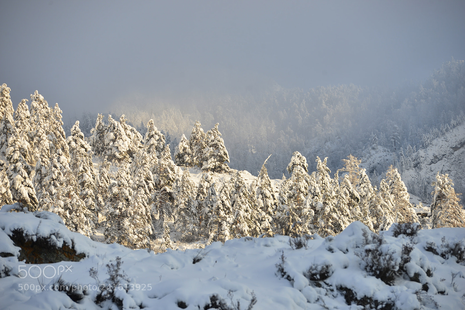 Nikon D800E sample photo. Altai mountains photography