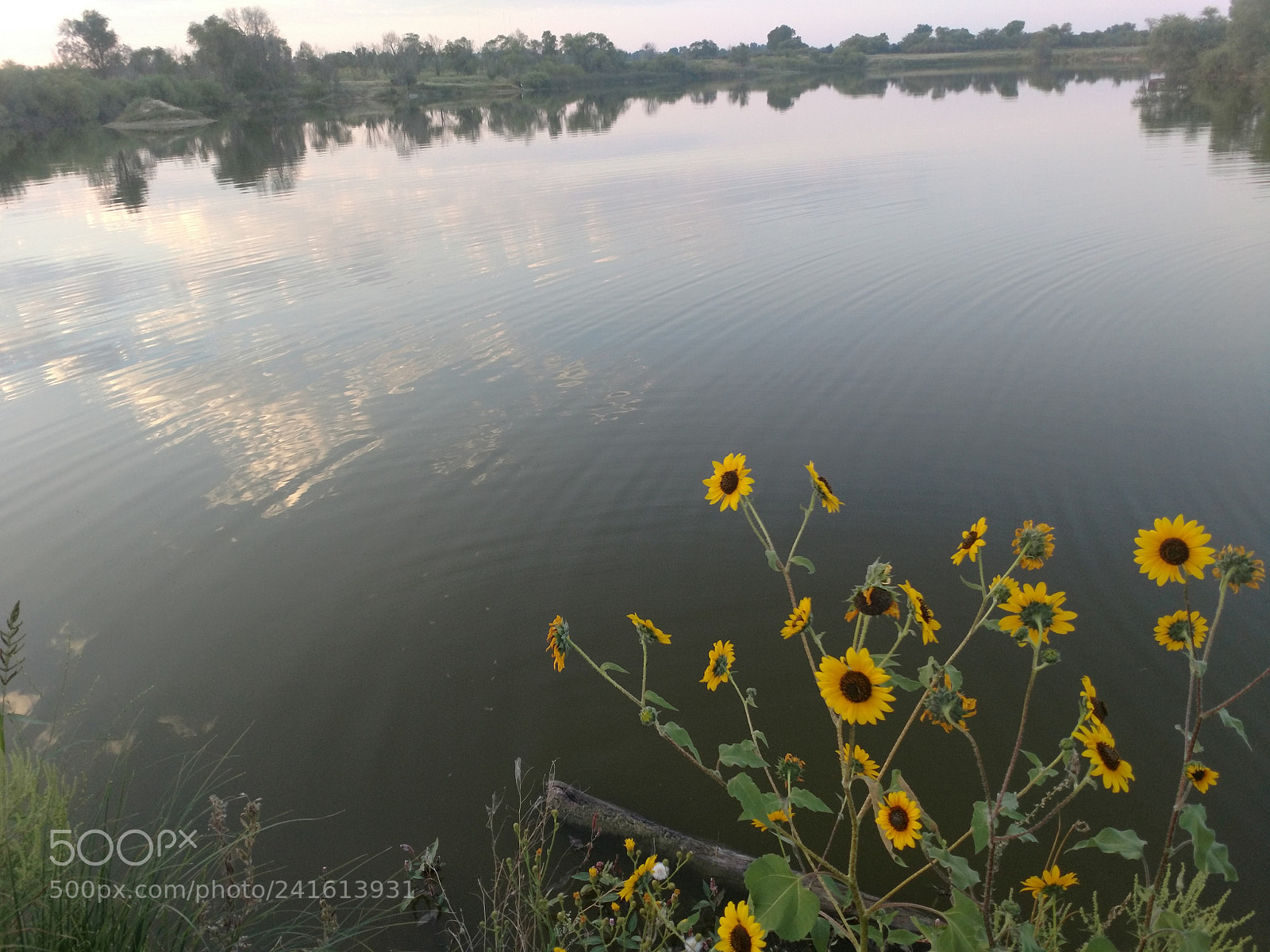 Motorola XT1650 sample photo. Lake photography