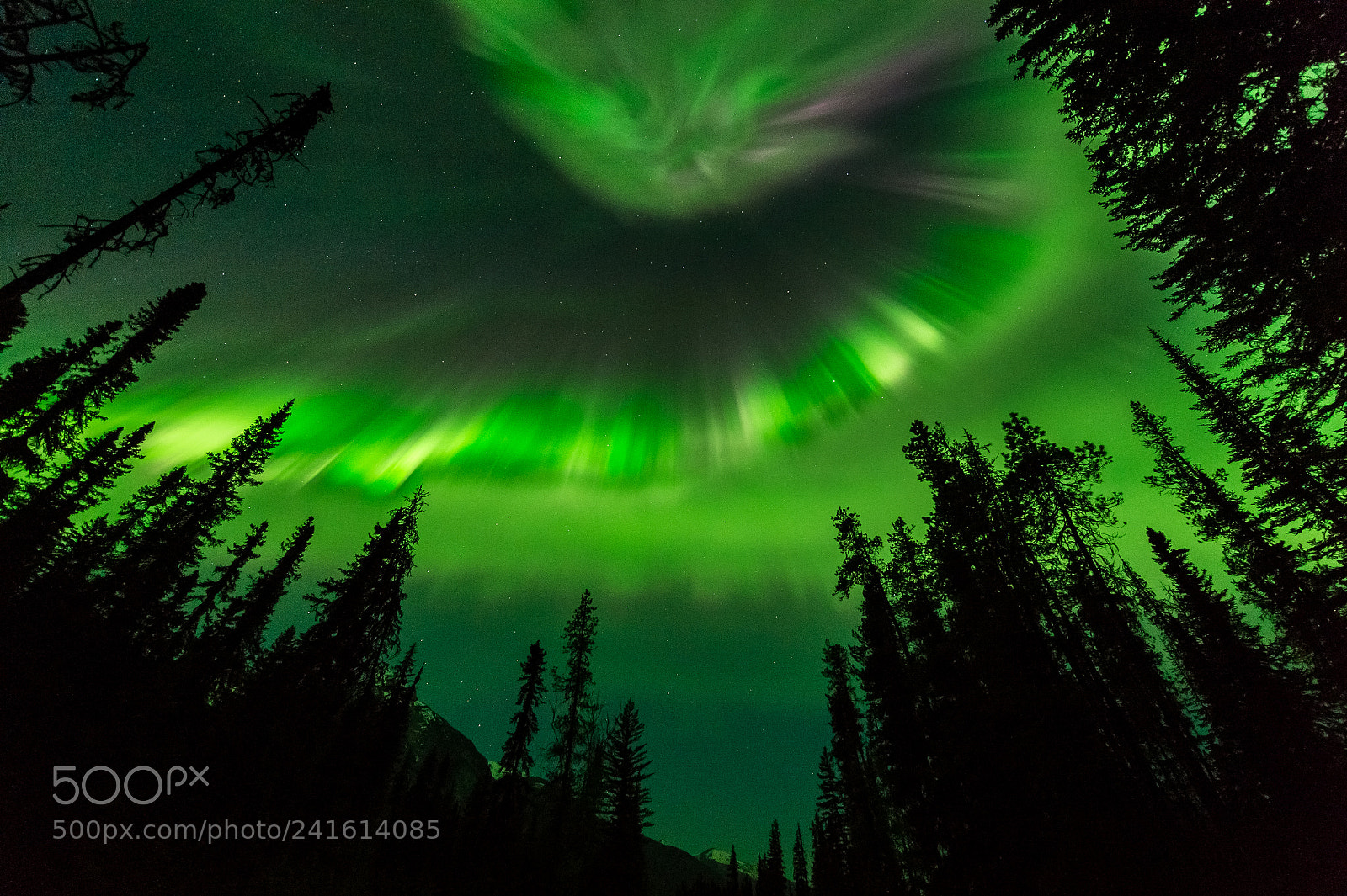 Nikon D4 sample photo. Aurora over mount robson photography