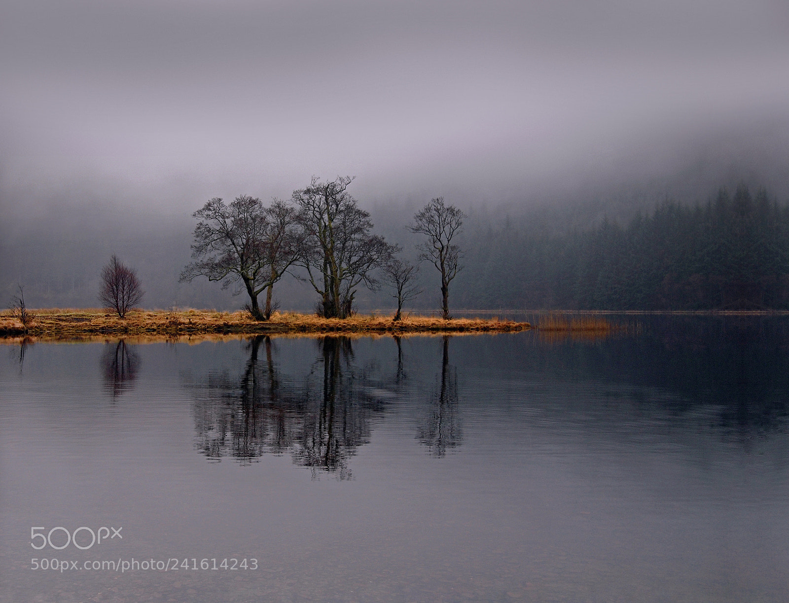 Olympus PEN E-P1 sample photo. One cold grey dawn photography
