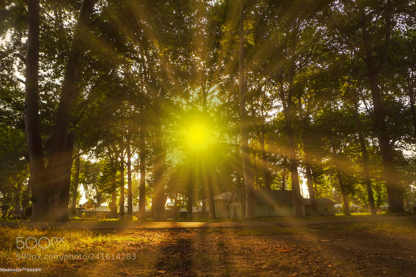 Sony SLT-A68 sample photo. Sunset photography