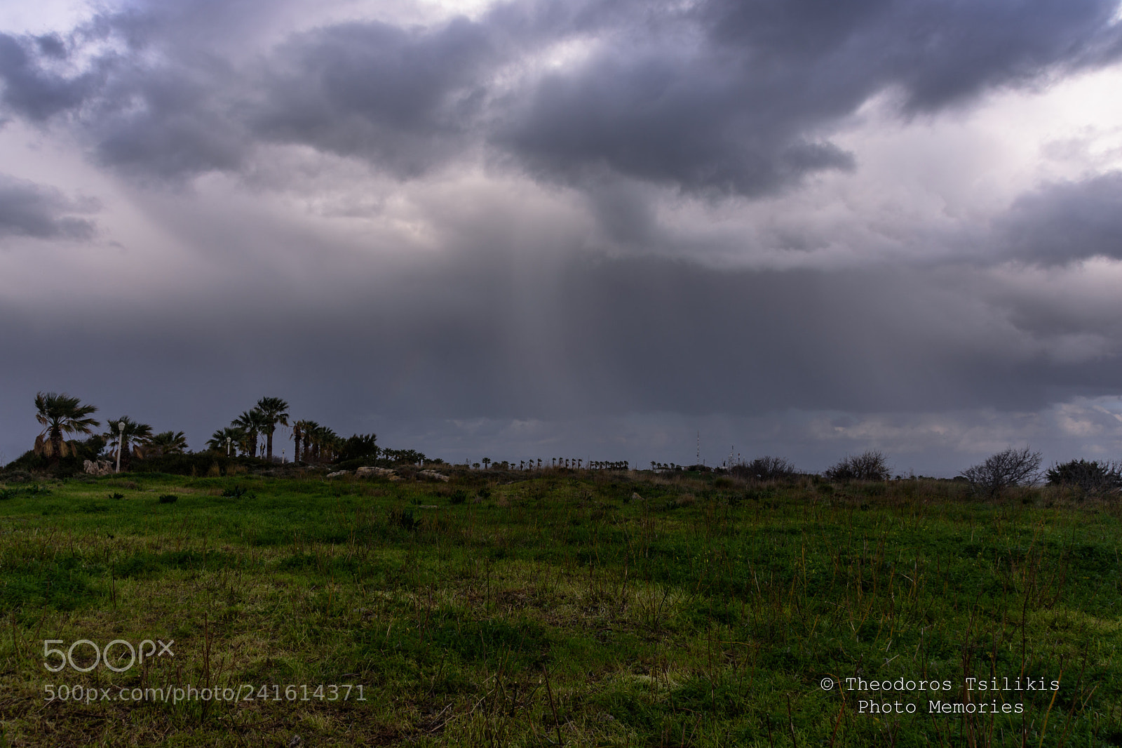 Nikon D7200 sample photo. Cloudy field photography