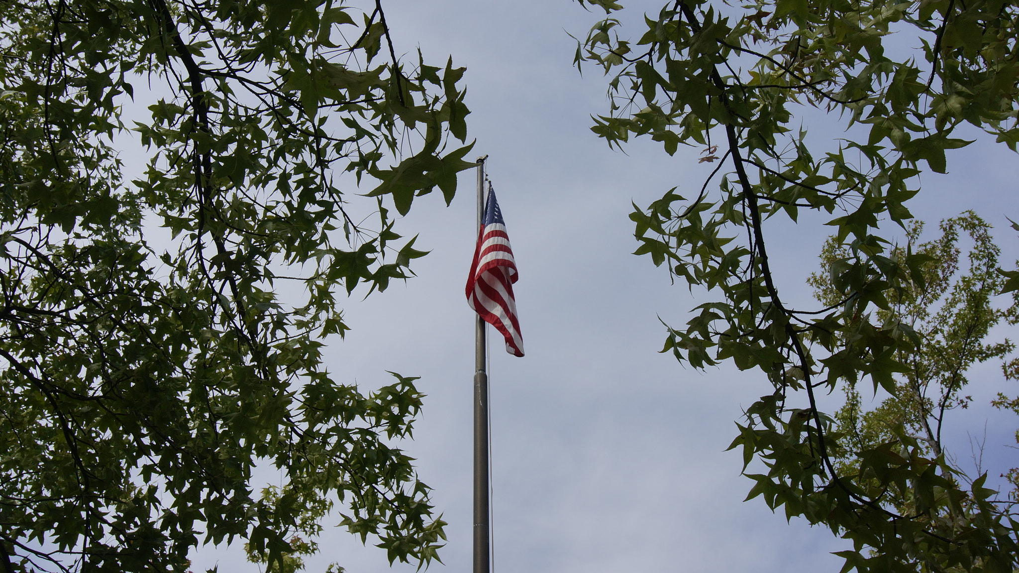 Sony E 18-50mm F4-5.6 sample photo. 0815 in seattle. photography