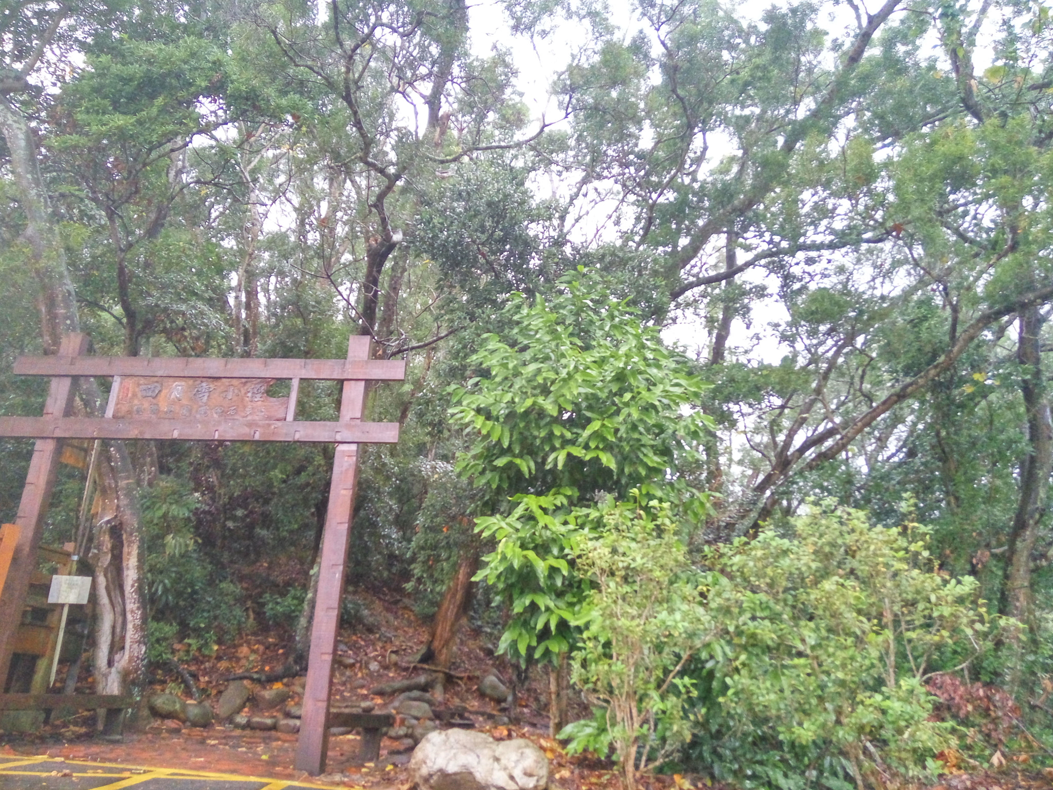 Xiaomi HM Note 2 sample photo. The path to the mountain photography
