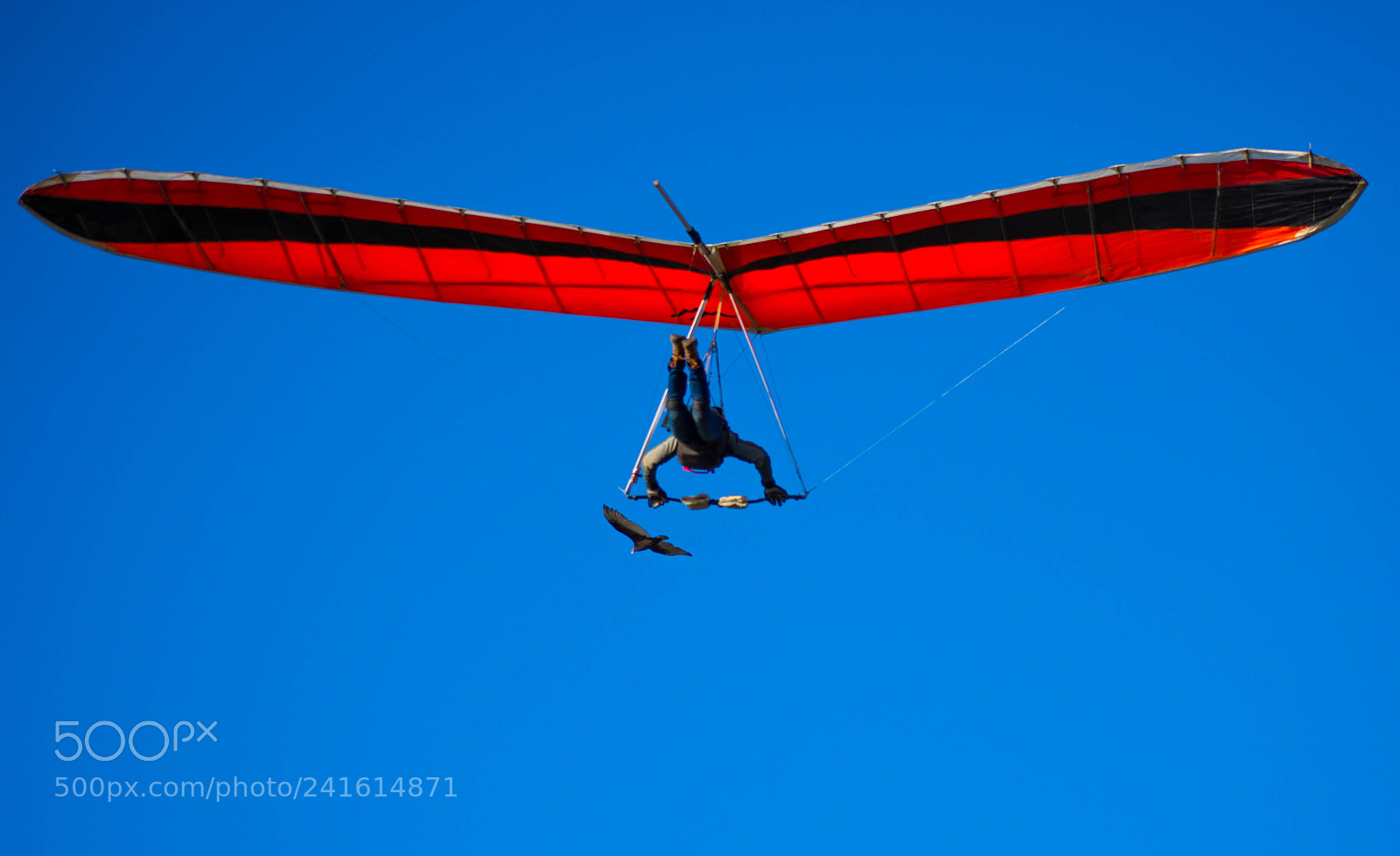 Nikon D7200 sample photo. Two gliders photography