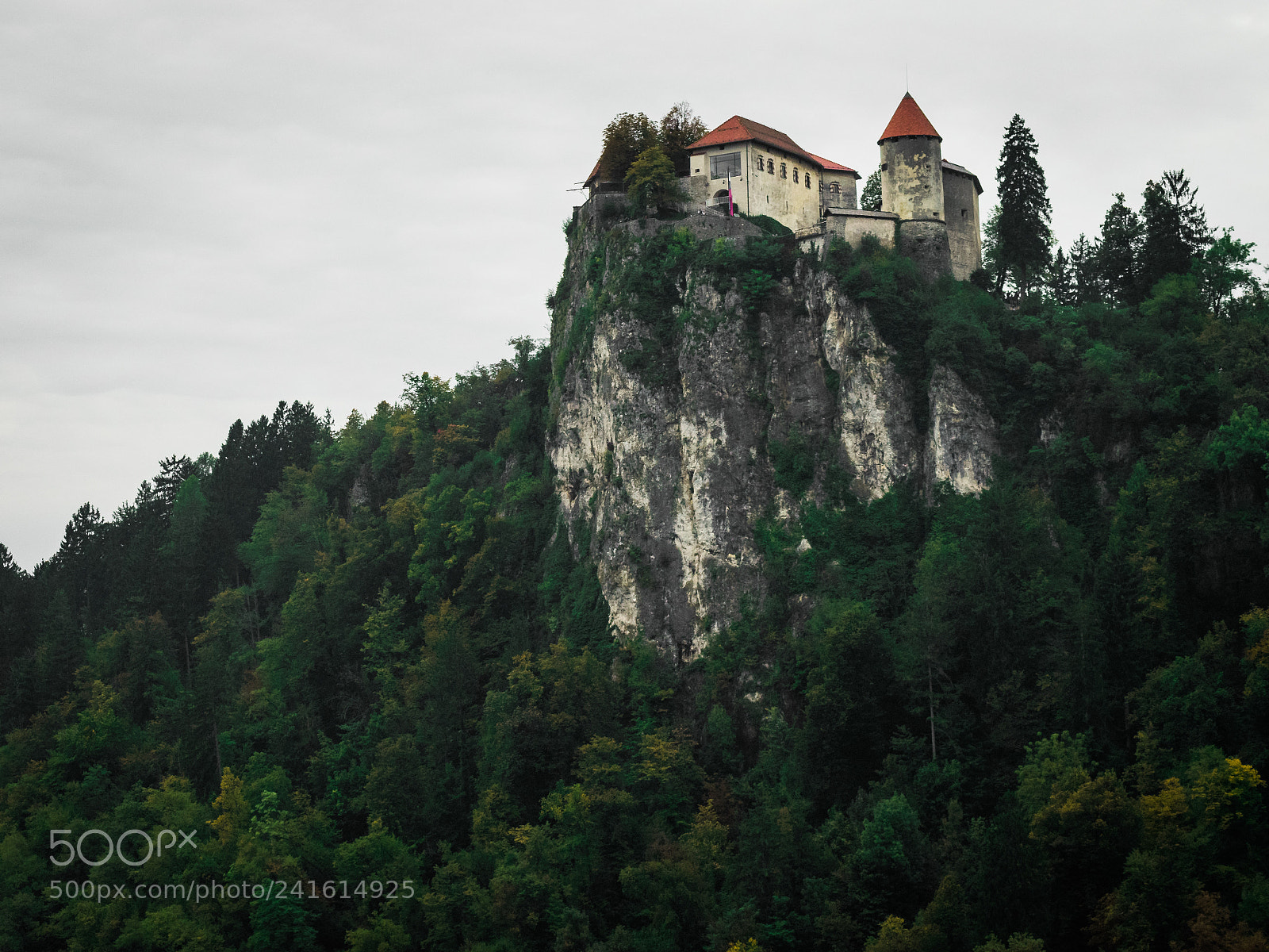 Nikon D5500 sample photo. Castle on rock, slovenia. photography