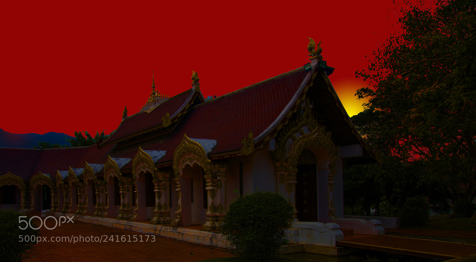 Nikon D850 sample photo. Silhouette photography