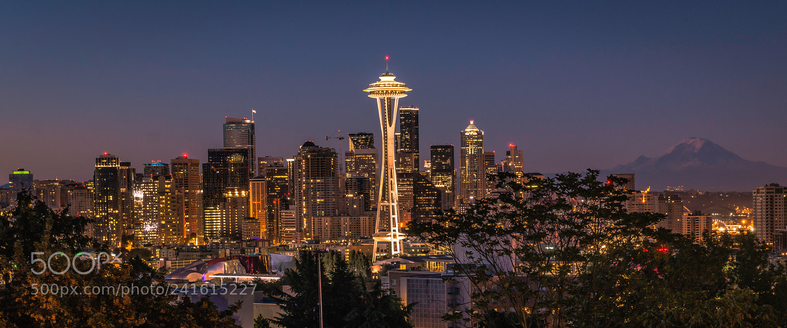 Sony SLT-A77 sample photo. Seattle skyline from kerry photography
