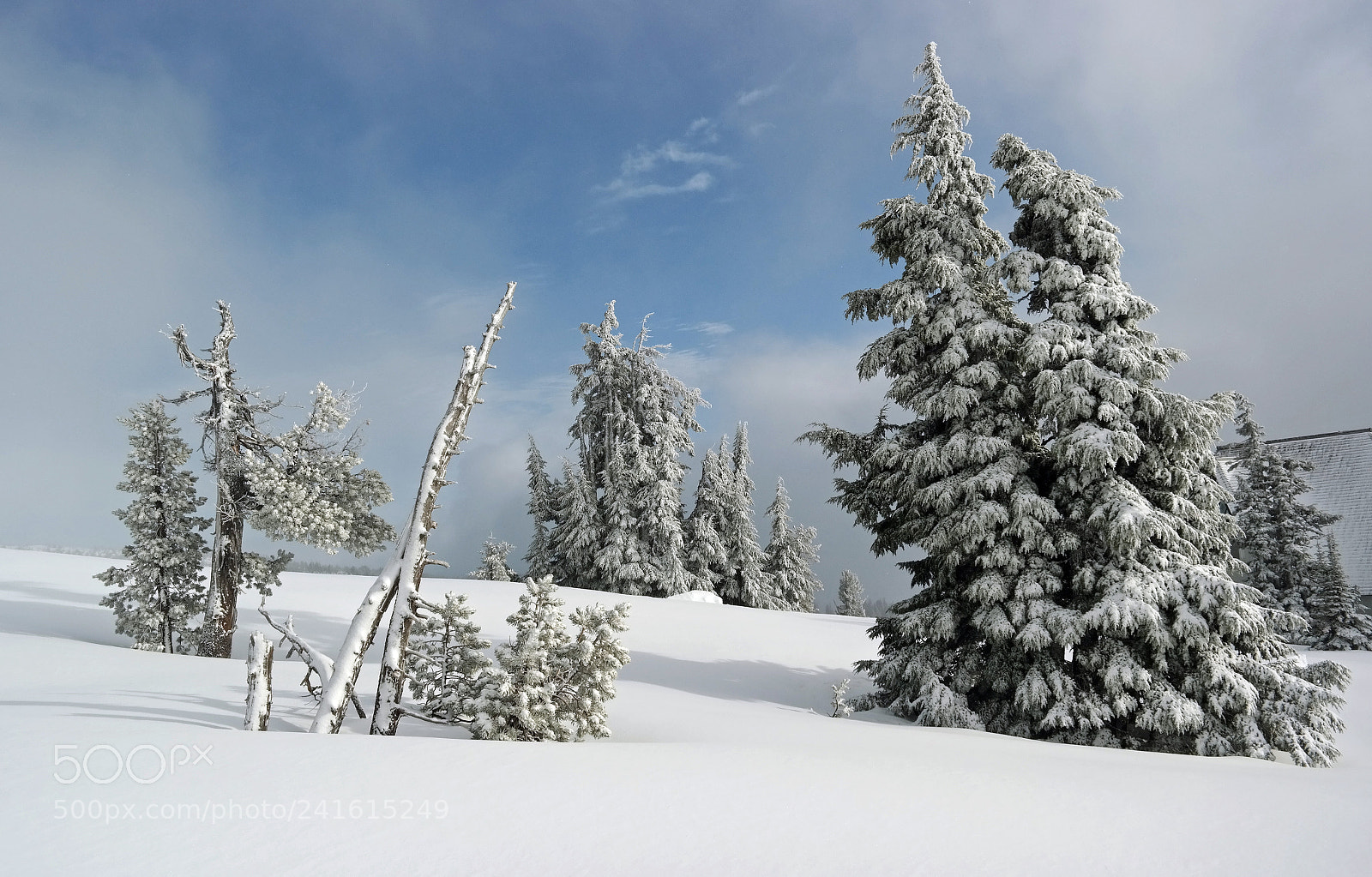 Samsung NX300 sample photo. Shapes of winter photography