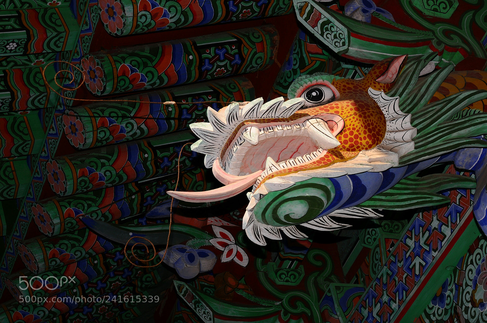 Nikon D300 sample photo. Dragon photography
