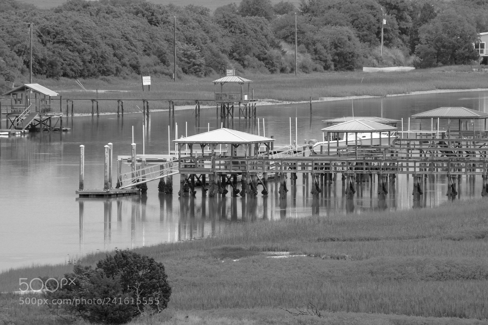 Canon EOS 550D (EOS Rebel T2i / EOS Kiss X4) sample photo. Florida bayou photography