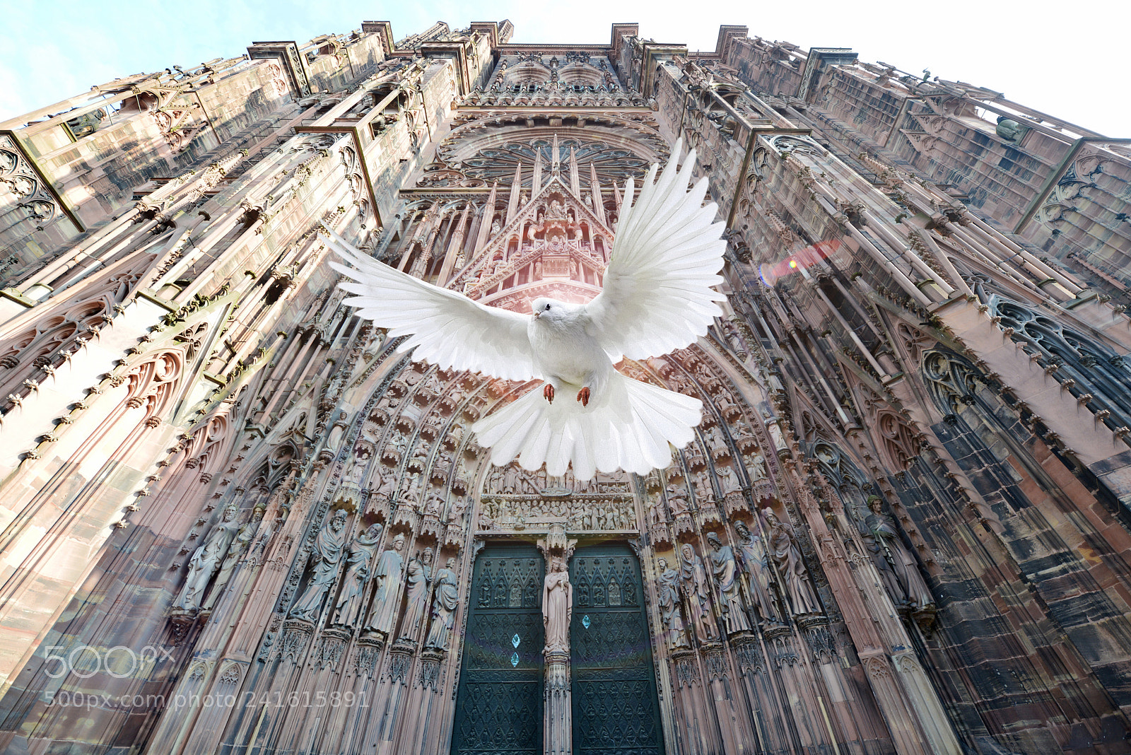 Nikon D800 sample photo. Cathedral of notre-dame, strasbourg photography