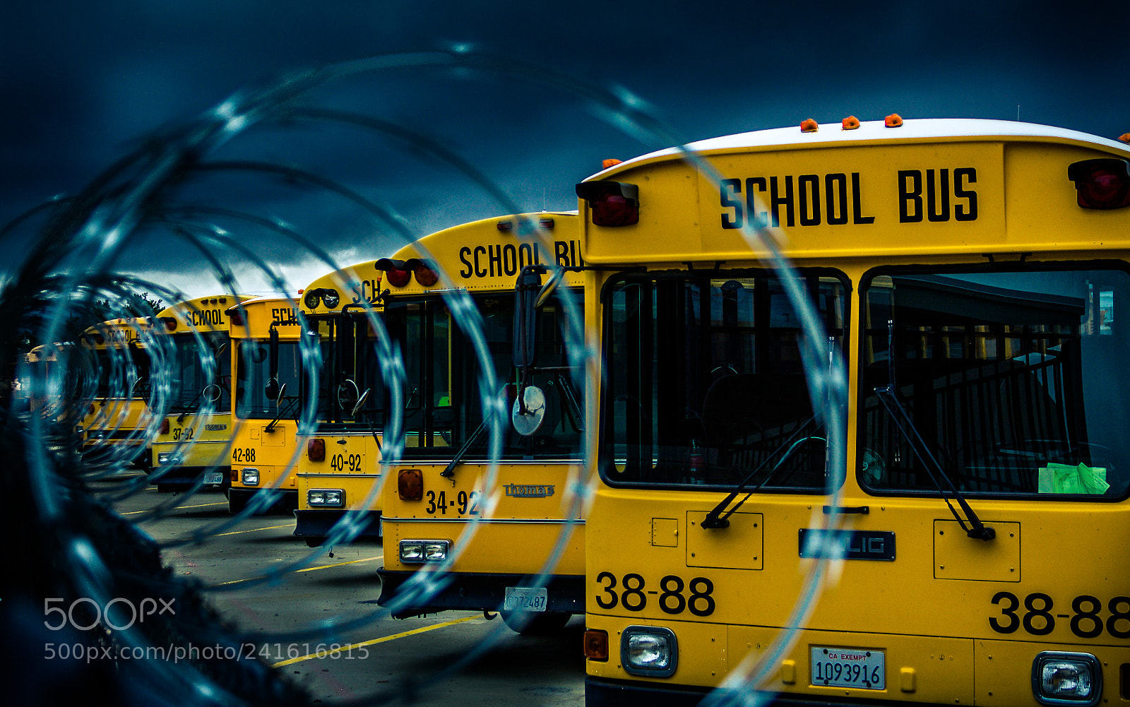 Canon EOS 50D sample photo. The yellow lineup photography
