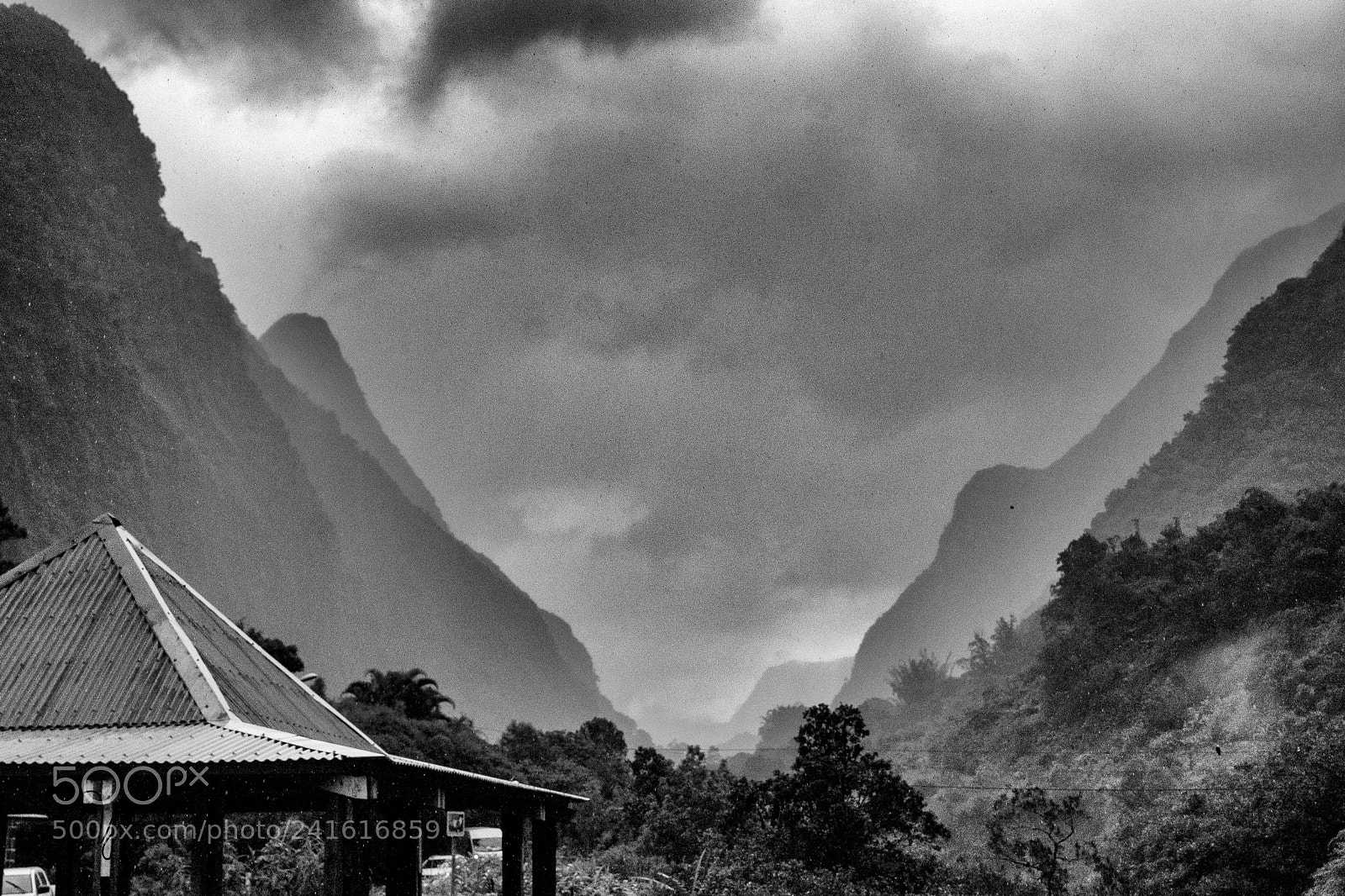 Sony a7 sample photo. It's raining again... photography
