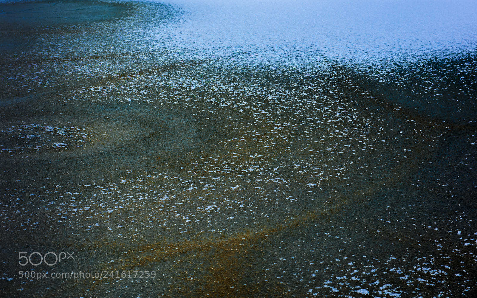 Nikon D810 sample photo. Untitled photography