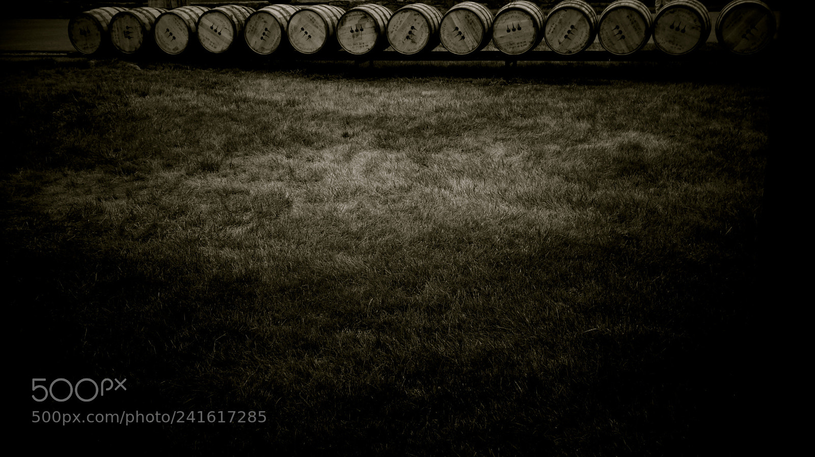 Sony Alpha NEX-3N sample photo. Line up photography