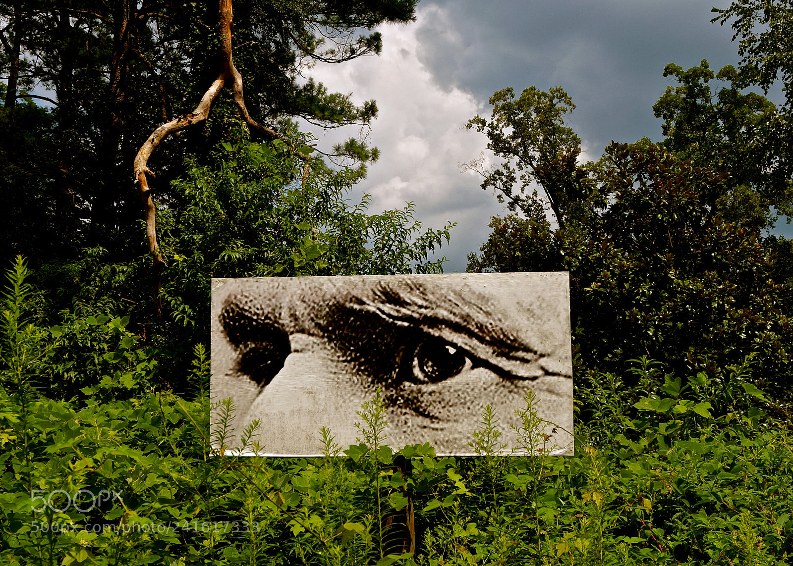 Sony Alpha NEX-3N sample photo. Eyes of sherman photography