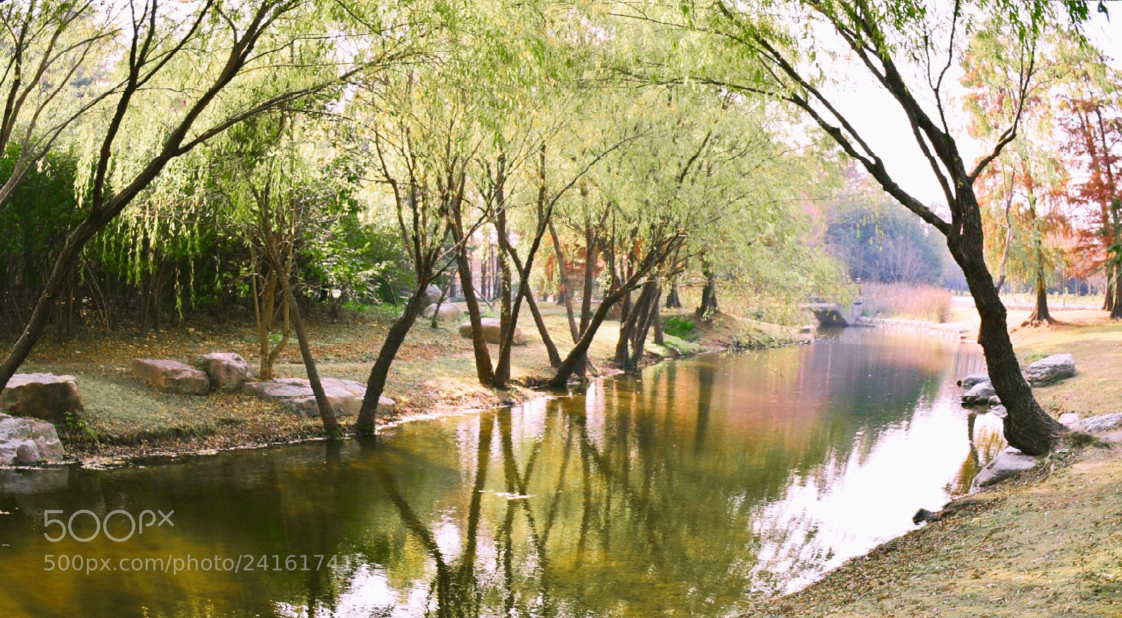Nikon D5500 sample photo. Late autumn 10 photography