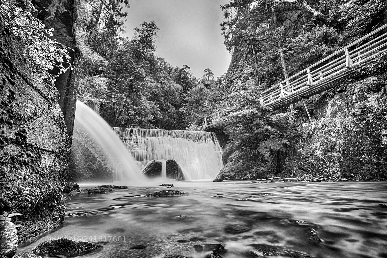 Sony a7 II sample photo. Saxen photography