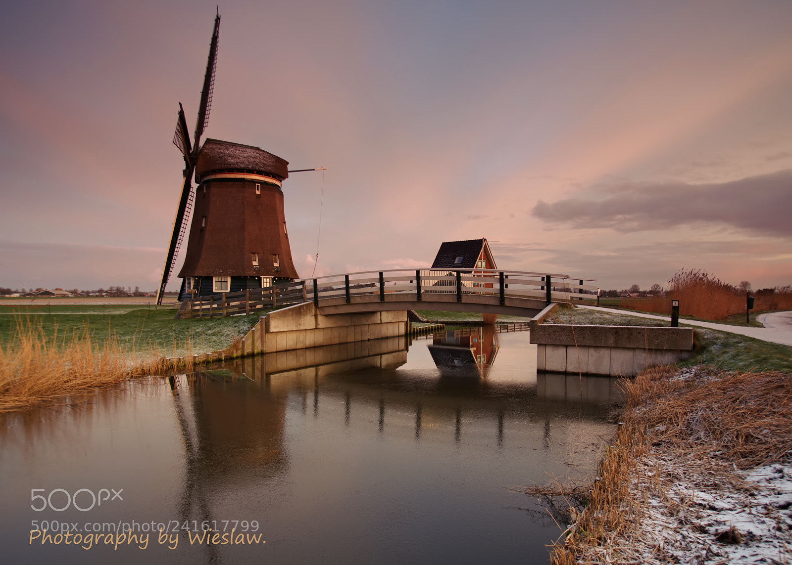 Pentax K-1 sample photo. De kleuren van het photography