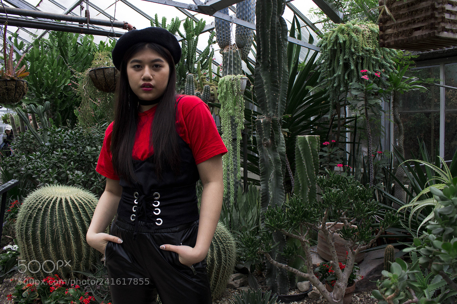 Canon EOS 700D (EOS Rebel T5i / EOS Kiss X7i) sample photo. Mg photography