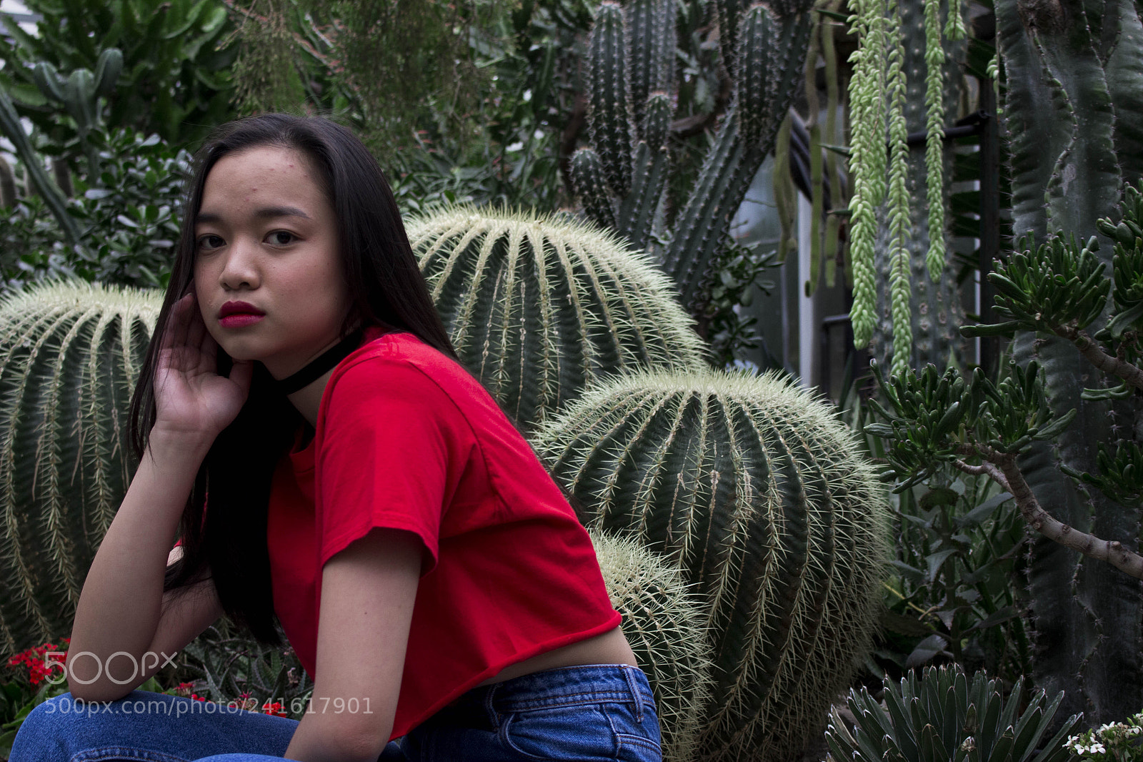 Canon EOS 700D (EOS Rebel T5i / EOS Kiss X7i) sample photo. Mg photography