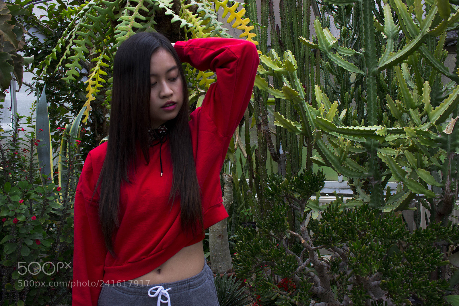 Canon EOS 700D (EOS Rebel T5i / EOS Kiss X7i) sample photo. Mg photography