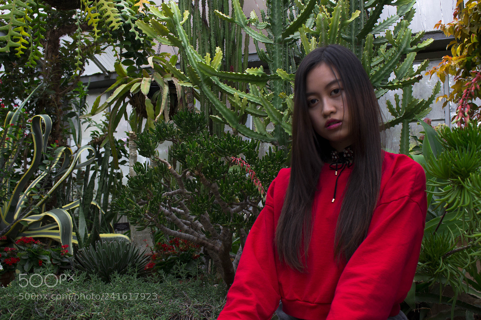 Canon EOS 700D (EOS Rebel T5i / EOS Kiss X7i) sample photo. Mg photography