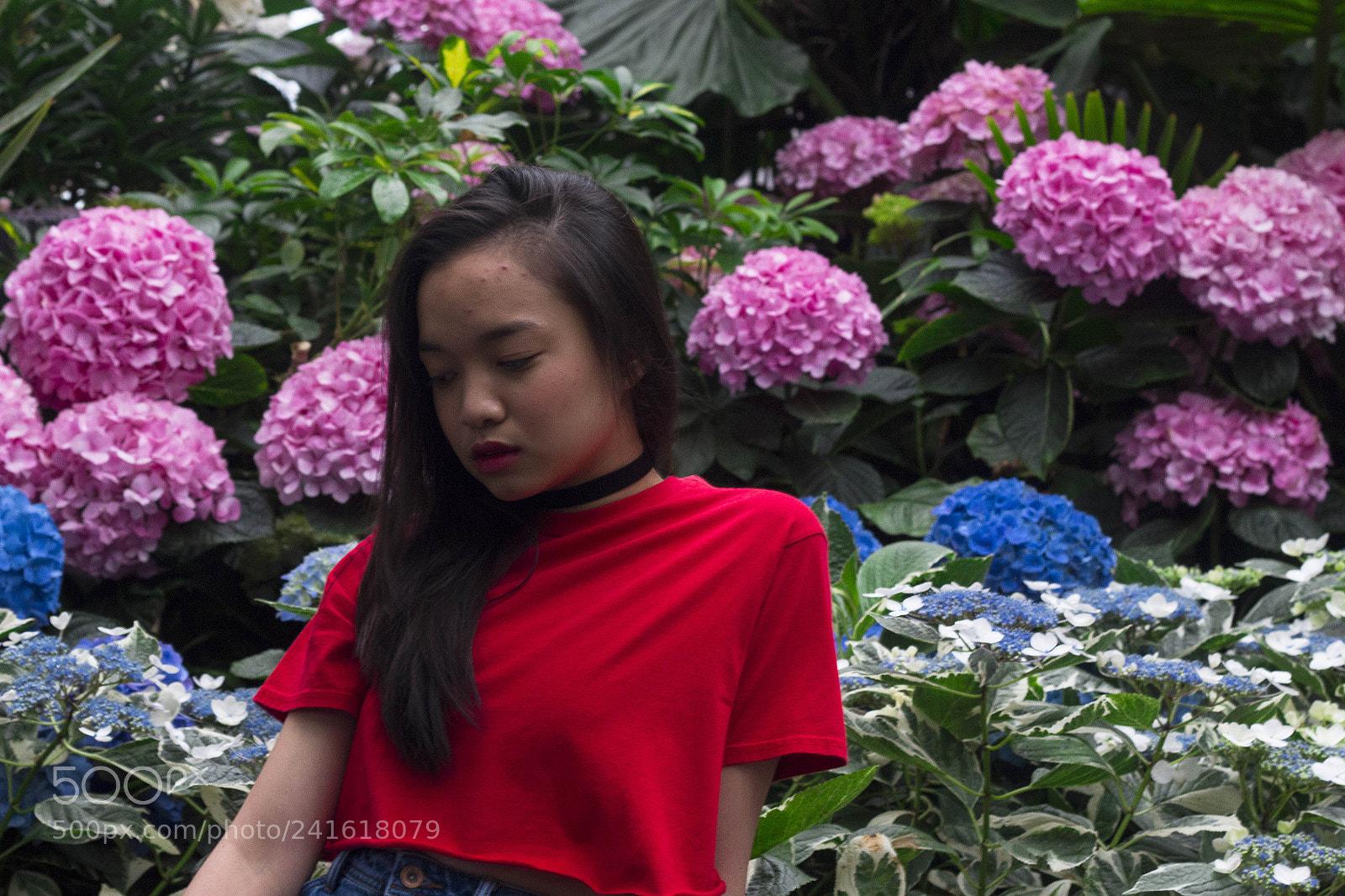 Canon EOS 700D (EOS Rebel T5i / EOS Kiss X7i) sample photo. Mg photography