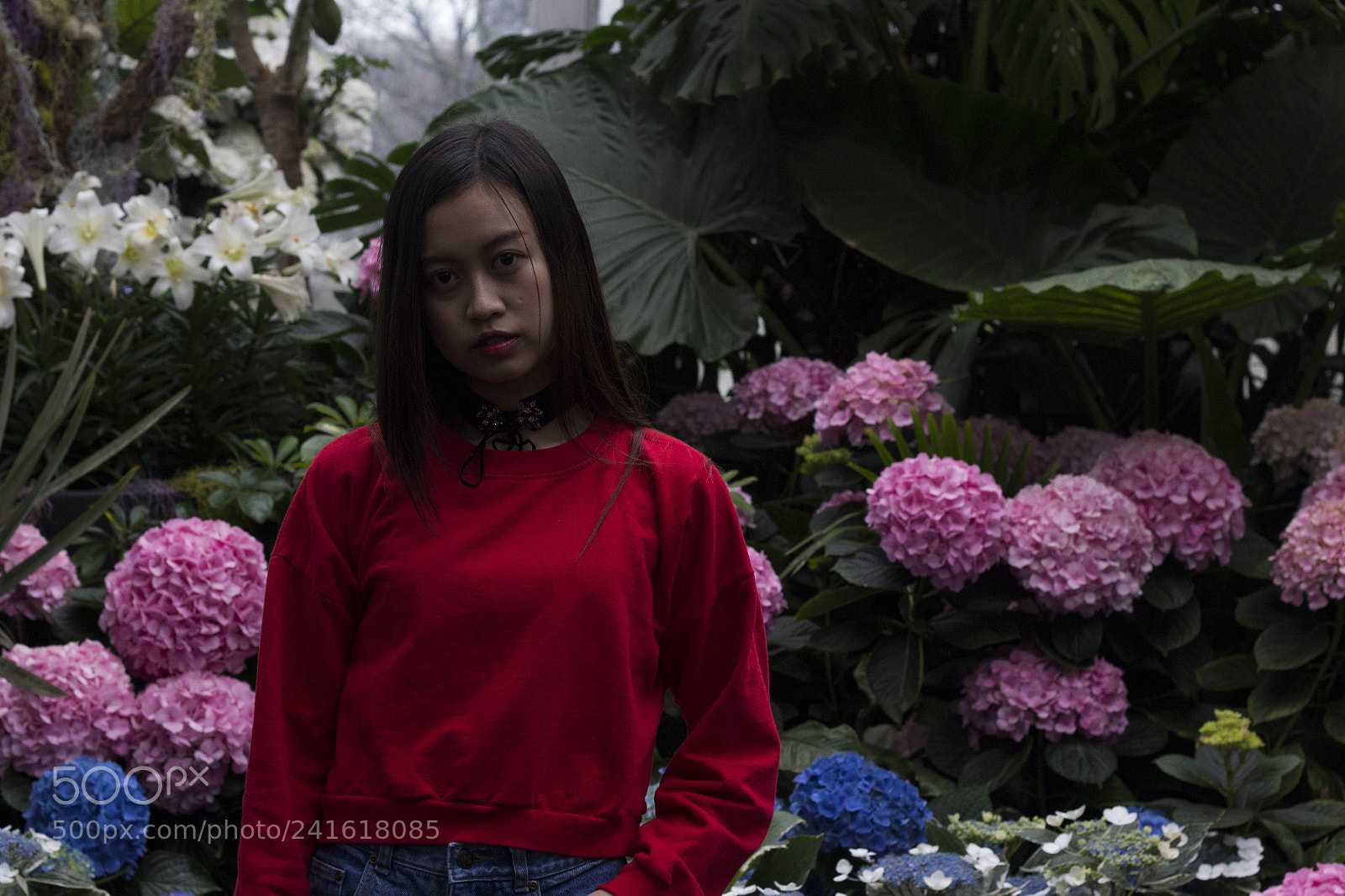 Canon EOS 700D (EOS Rebel T5i / EOS Kiss X7i) sample photo. Mg photography