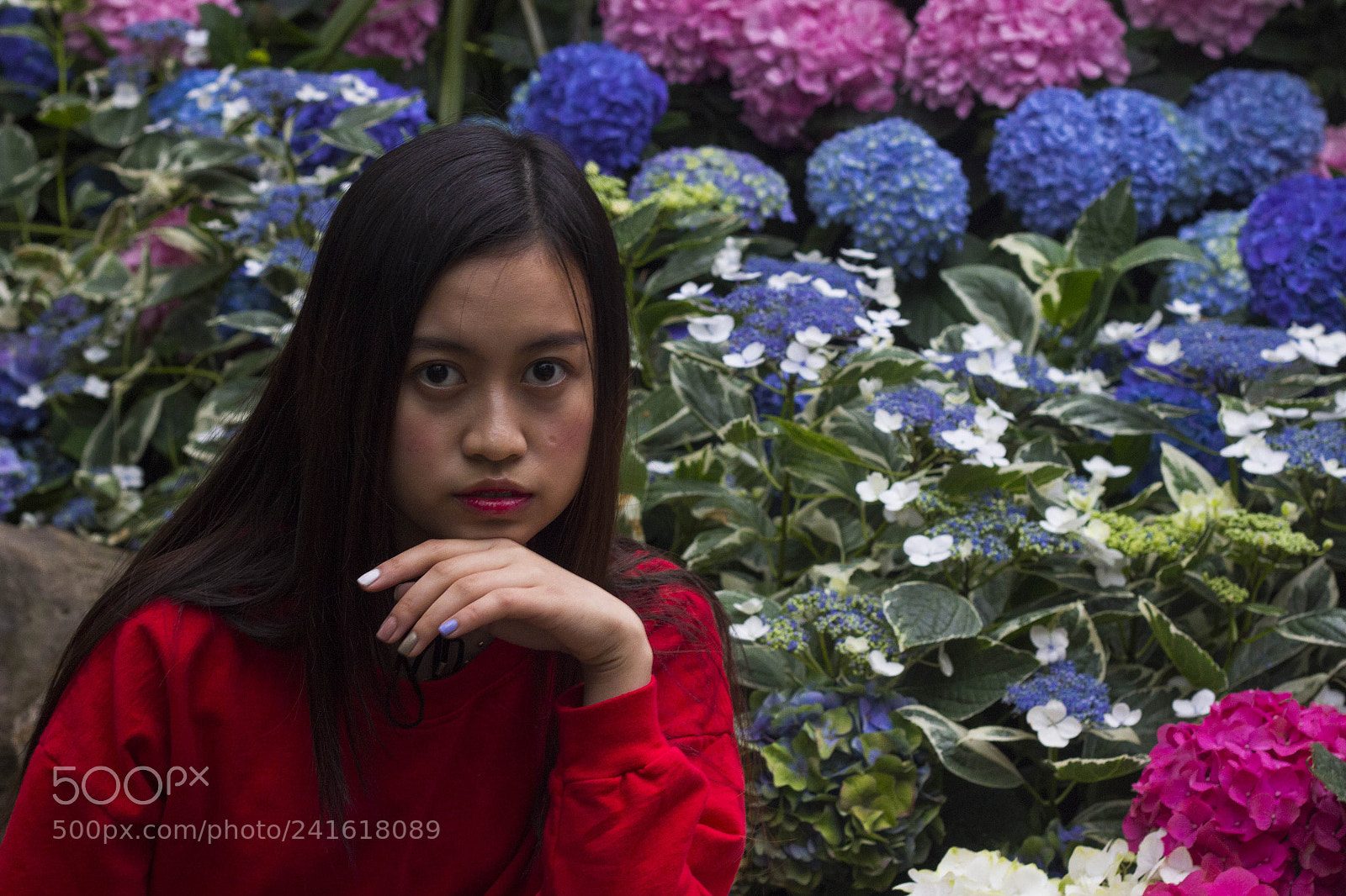Canon EOS 700D (EOS Rebel T5i / EOS Kiss X7i) sample photo. Mg photography