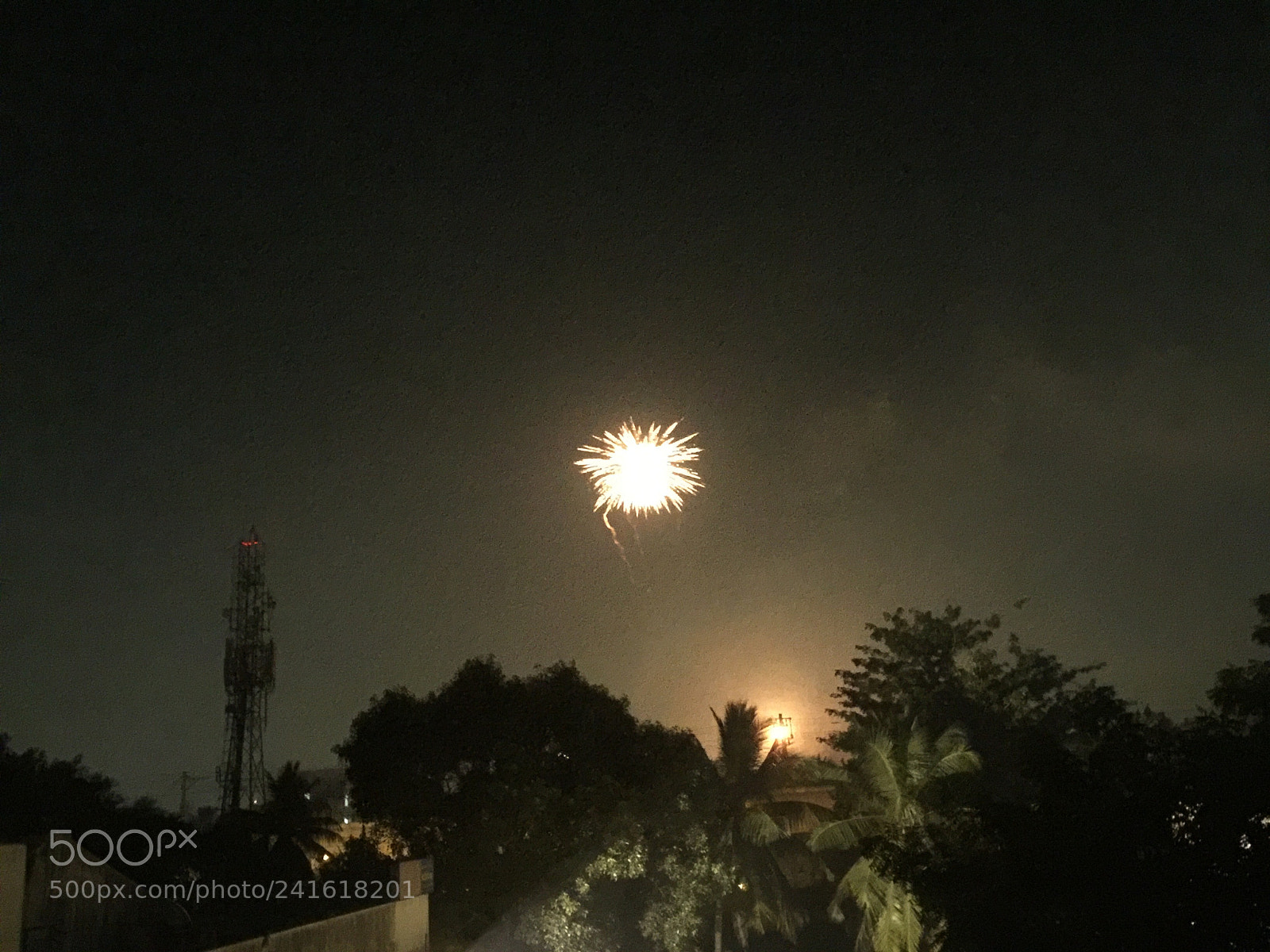 Apple iPhone 6 Plus sample photo. Untitled photography