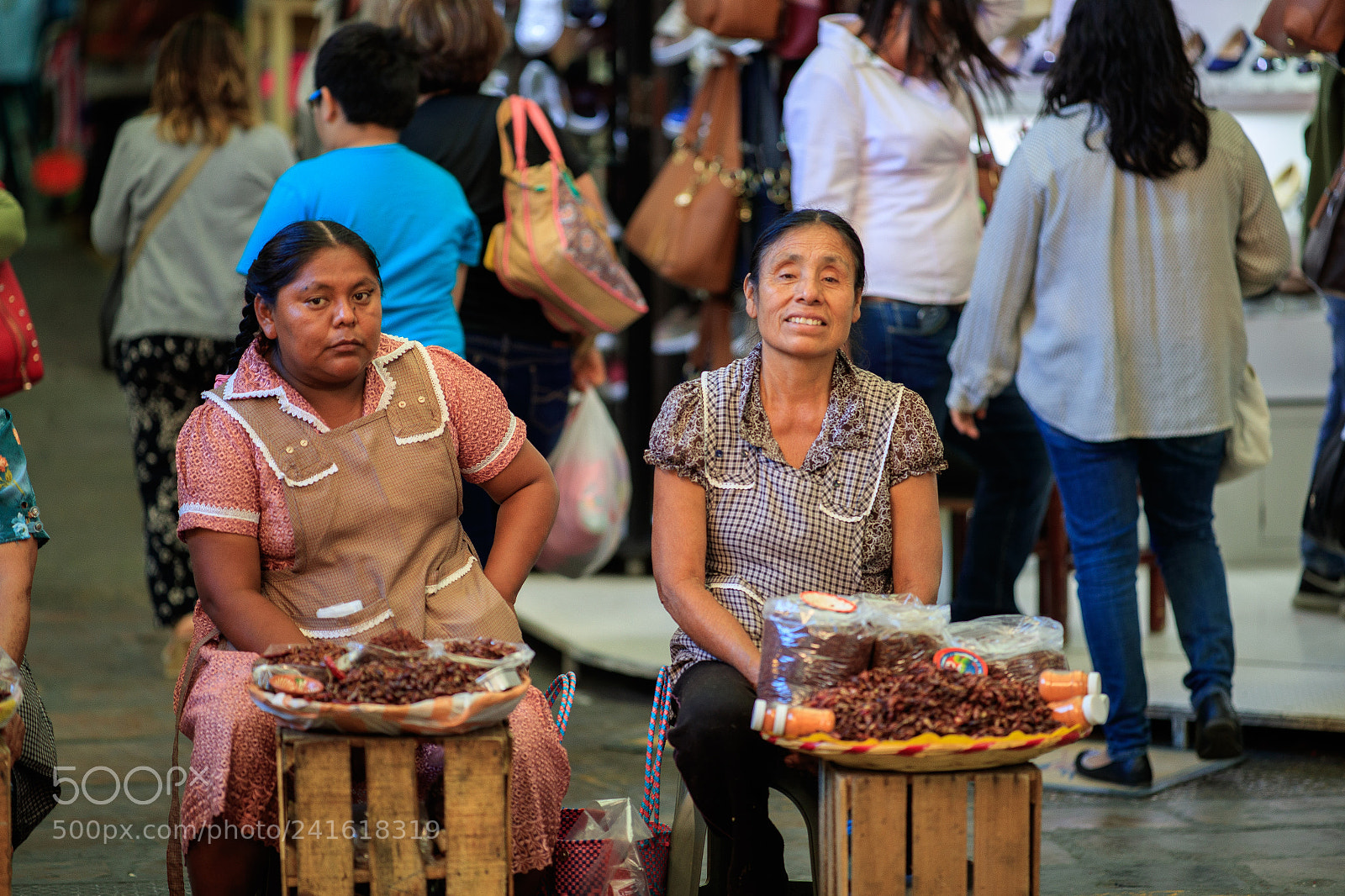 Canon EOS-1D X Mark II sample photo. Chapulines, anyone? photography