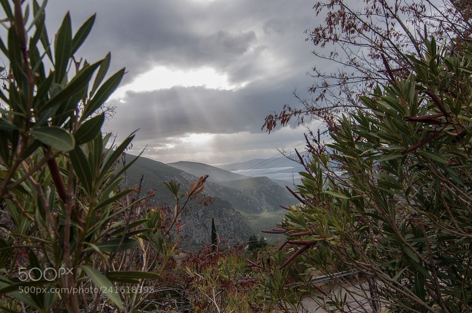 Nikon D90 sample photo. Delphi rays photography