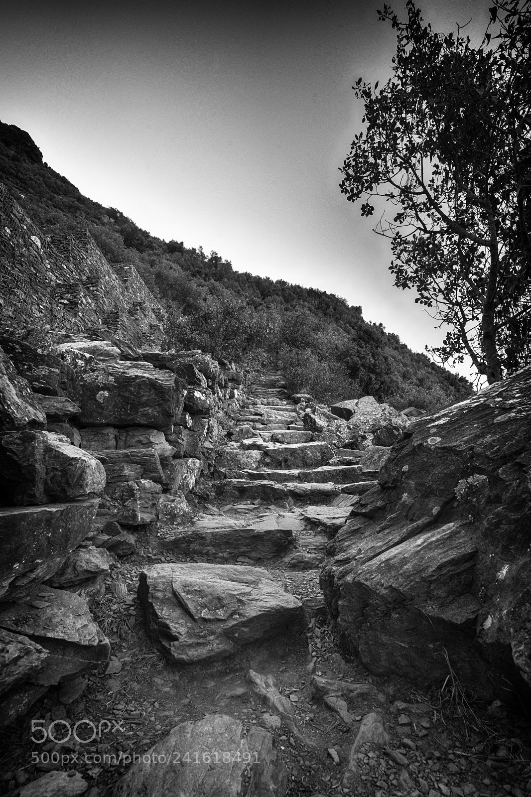 Sony a7 II sample photo. Vernazza stairs photography
