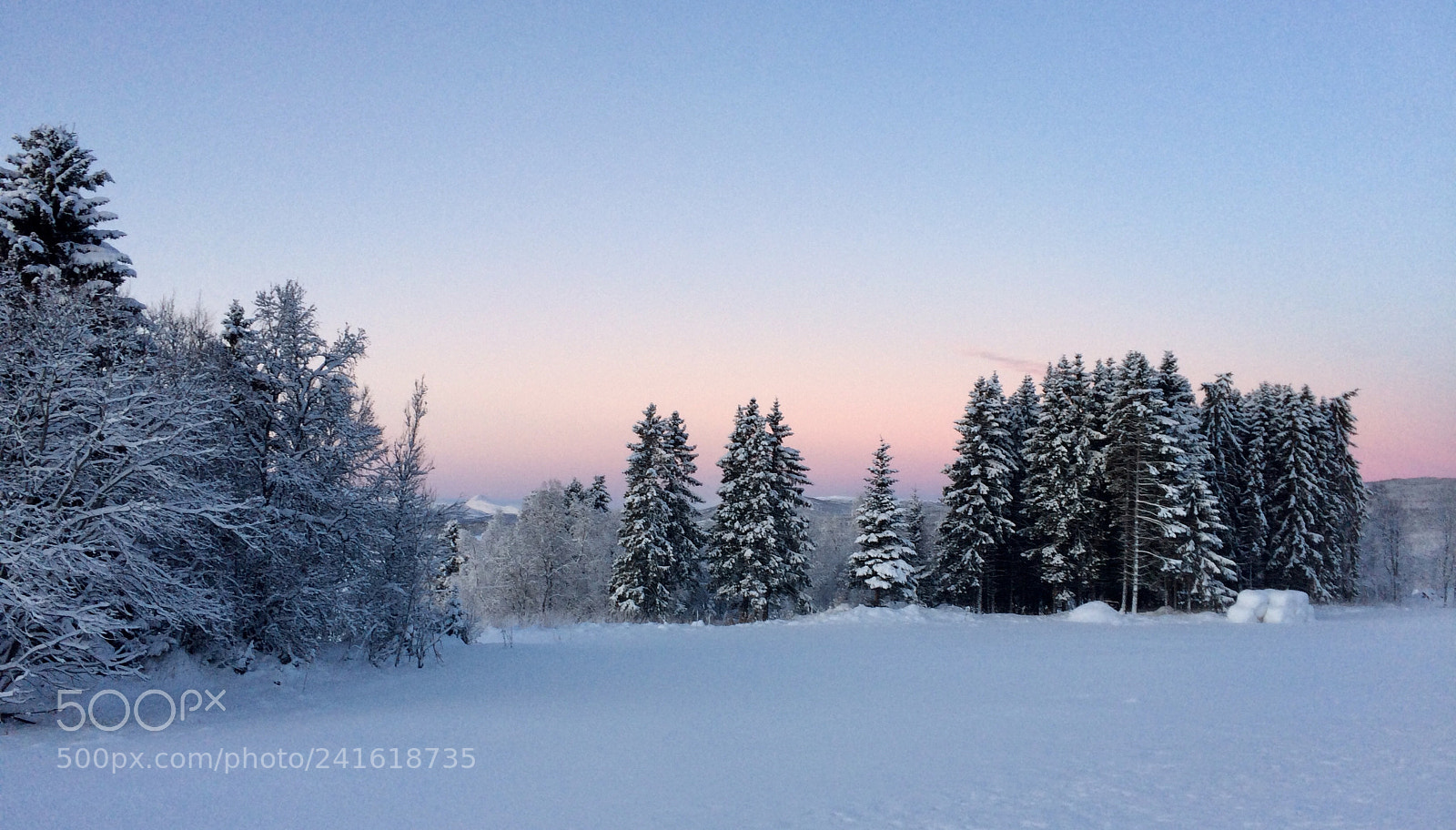 Apple iPhone 5s sample photo. Pastel colors in january photography