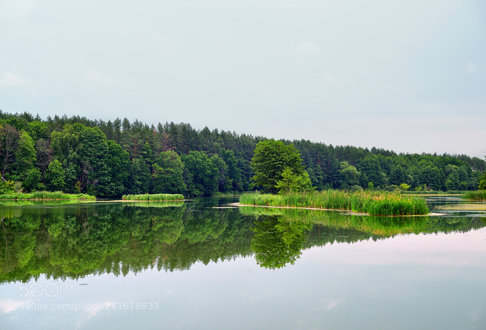 Nikon D800E sample photo. Mirror photography