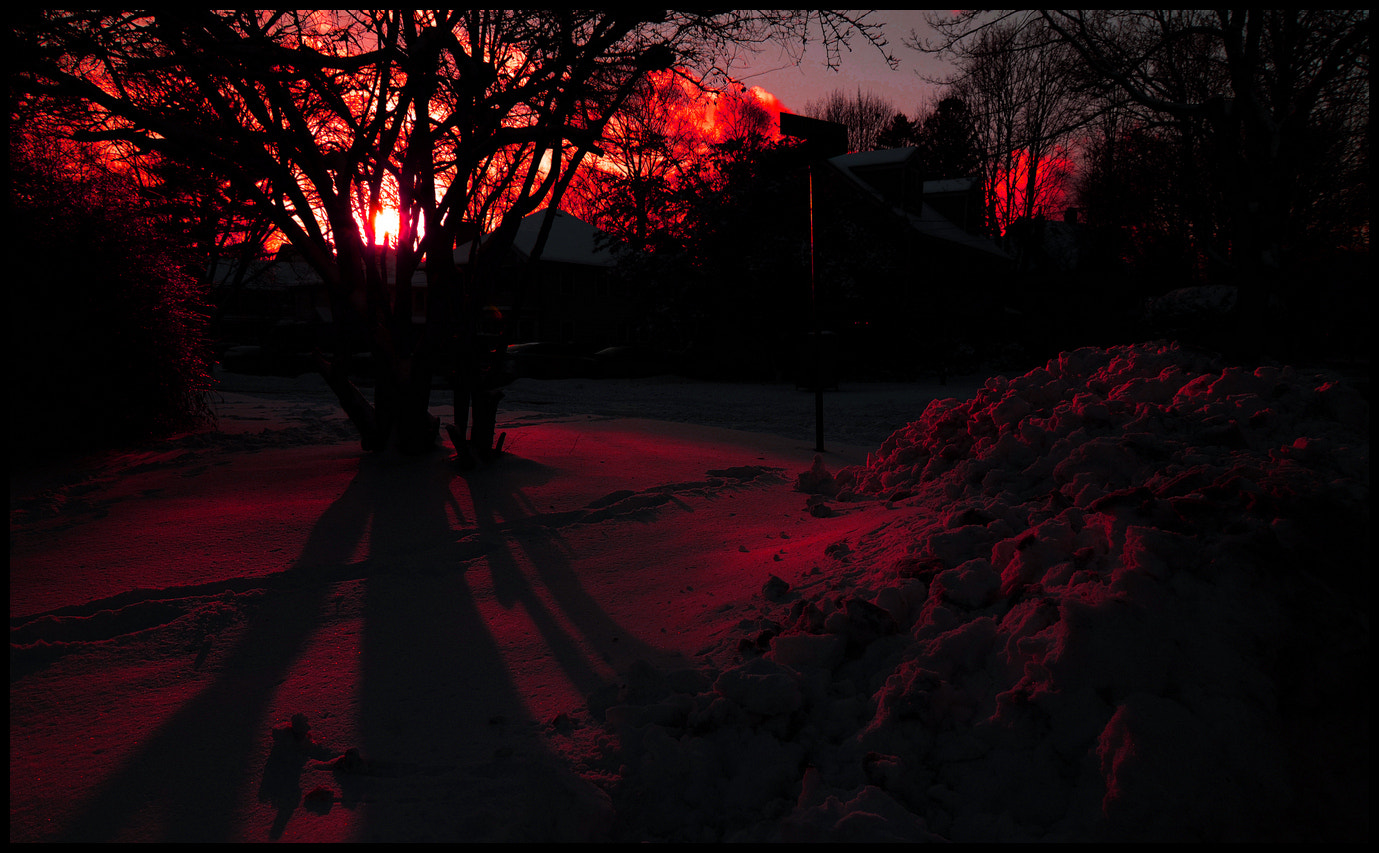 Nikon D7000 sample photo. Winter sun ii photography