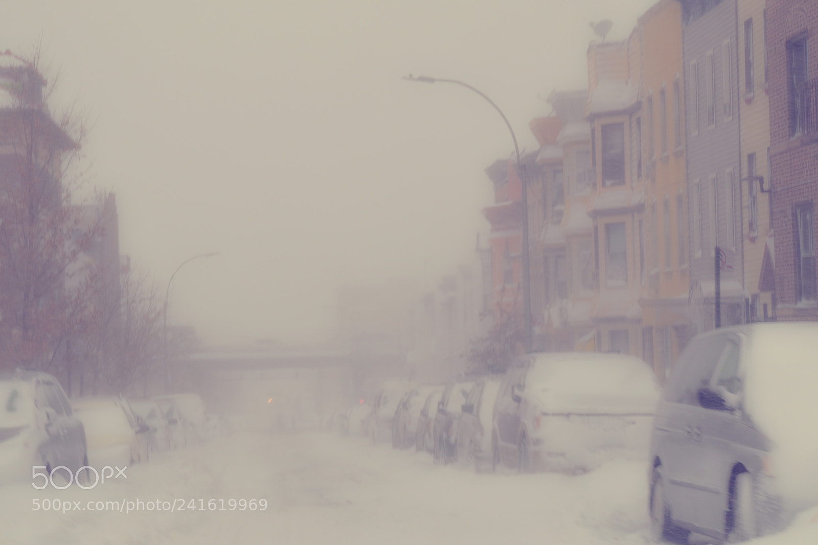 Nikon D5500 sample photo. Snow storm photography