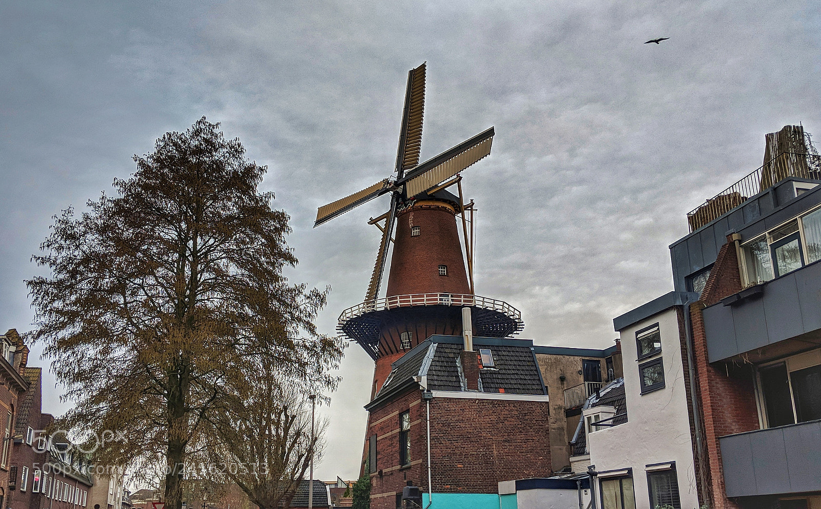 Google Pixel 2 sample photo. Windmolen photography