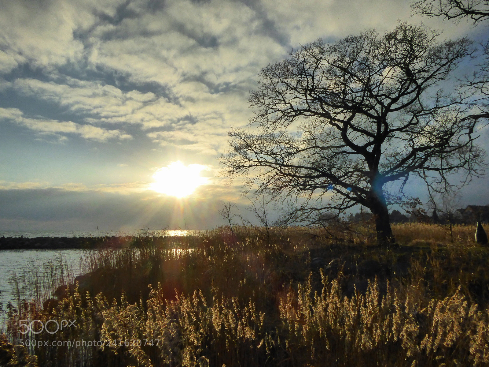 Panasonic DMC-TZ61 sample photo. Touched by magic photography
