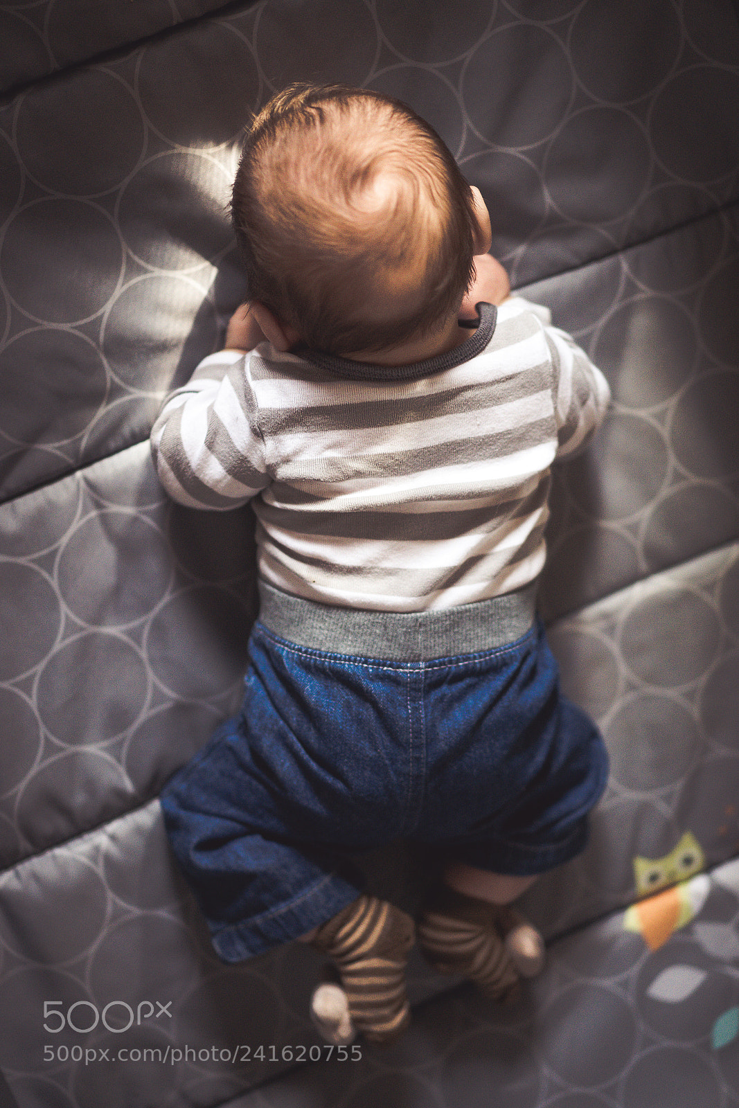 Sony a7 II sample photo. 4 months. photography