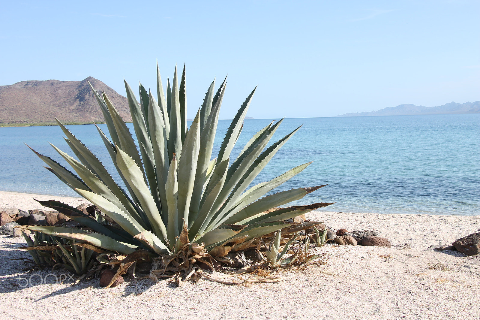 Canon EOS 1100D (EOS Rebel T3 / EOS Kiss X50) sample photo. Baja california photography